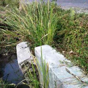 Drainase-yang-rusak