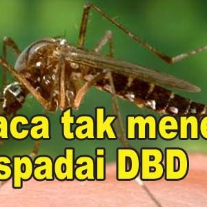 Dinkes Kotamobagu Himbau Warga Waspada DBD