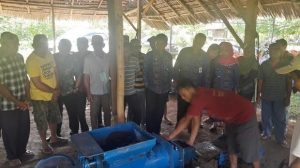 13407434_921102404664767_841786517_n