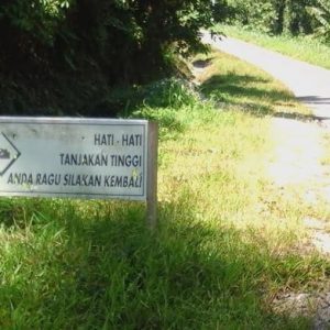 Puncak Tonsile Rawan Kejahatan