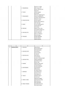 PENGUMUMAN+PPS3