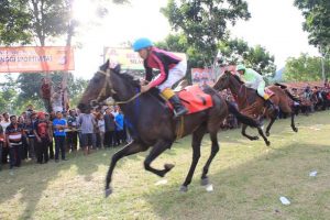 Kuda dari Boltim Juara di Pacuan Gorontalo