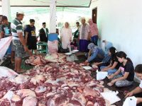 4778 Warga Kotamobagu Terima Daging Kurban