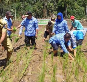 Bupati Sehan Canangkan Tanam Padi Serentak