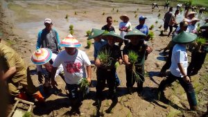 tni-ad-bersama-masyarakat-saat-menanam-padi-persama