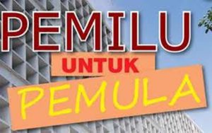 Pemilih Pemula Penentu Pilkada