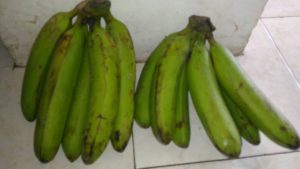 Tepung Pisang Goroho Bakal Jadi Produk Khas Bolsel Tepung Pisang Goroho Bakal Jadi Produk Khas Bolsel