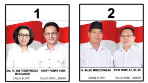 Hasil Audit Laporan Dana Kampanye Pasangan Calon Bupati dan Wakil Bupati Bolaang Mongondow Tahun 2017