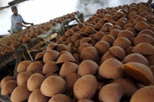 Pemda Boltim Bentuk Asosiasi Petani Gula Aren