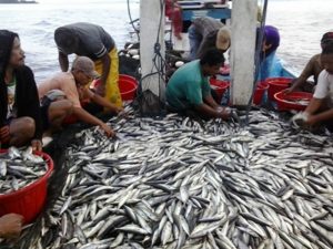 Pemkab Bolmong Jadikan Desa Maelang Sebagai Kampung Nelayan