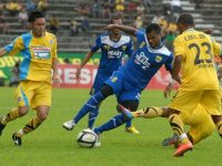 Jadwal & Prediksi Liga 1 Indonesia 3 Mei 2017, Live Streaming Gresik United Vs Persib