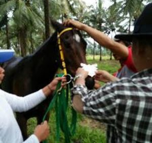 IMG-20170701-WA0035 IMG-20170701-WA0035