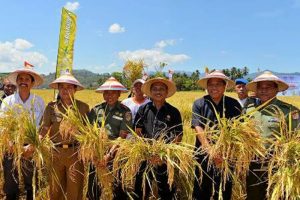 Gerakan Rembug Tani di Bolmut terus digalakkan