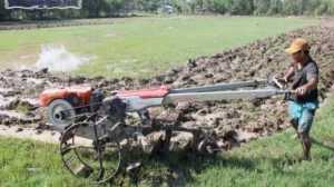 Kelompok Tani di Kotamobagu Bakal Dapat Bantuan