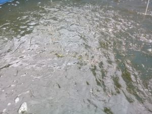 20180327_151931