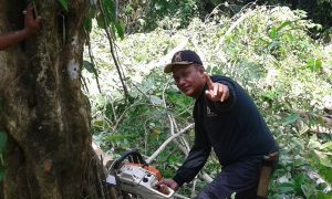 IMG-20180302-WA0068