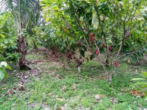 IMG-20180414-WA0019 IMG-20180414-WA0019