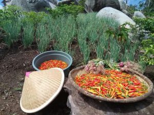 IMG-20180414-WA0024 IMG-20180414-WA0024