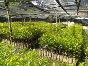 IMG-20180515-WA0028 (1)