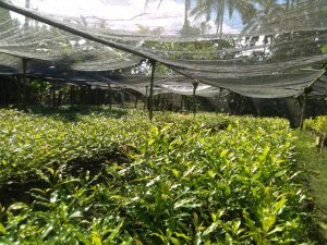IMG-20180515-WA0029