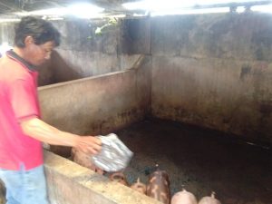 IMG-20180625-WA0009