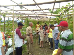 IMG-20180703-WA0050 IMG-20180703-WA0050