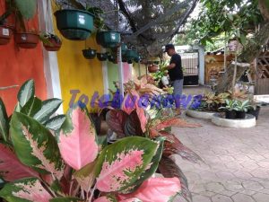IMG-20180705-WA0012