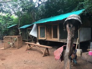 IMG-20180814-WA0028