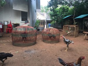 IMG-20180814-WA0032