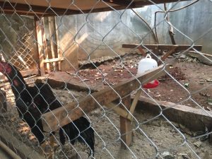 IMG-20180814-WA0037