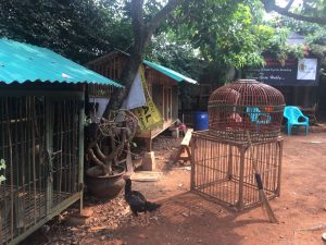 IMG-20180814-WA0041 (1)