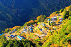 8903a5c77ff2805ea99eae6ebf283632