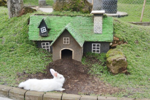 lokasi-taman-kelinci