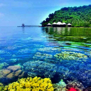 pulau pahawang