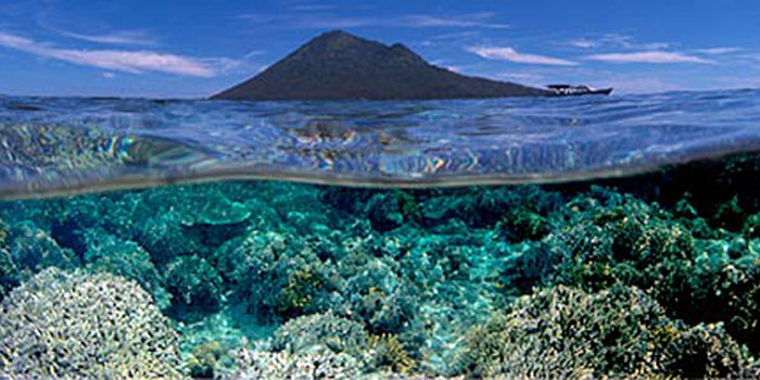 Ini 4 Spot Wisata Bawah Laut Terbaik Di Indonesia