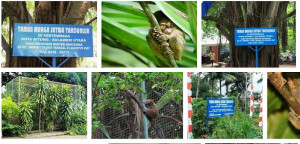taman marga satwa