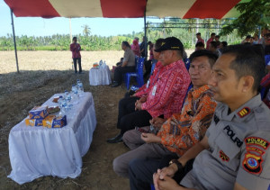 Screenshot_2020-01-23-23-19-53-216_com.google.android.gm Screenshot_2020-01-23-23-19-53-216_com.google.android.gm