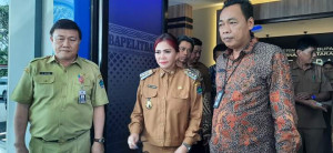 FB_IMG_1581400730455