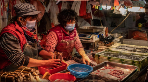 6ec7e28d-f686-4080-9708-1d582ac32804_169 (1)