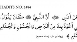 266707c7-1dd5-4b9d-a9f3-a5d63d69870e_169 266707c7-1dd5-4b9d-a9f3-a5d63d69870e_169