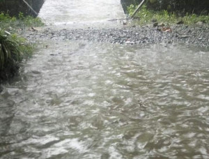 FB_IMG_1591780066881