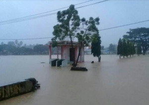 Screenshot_15 Screenshot_15