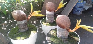 IMG20200812132207 IMG20200812132207