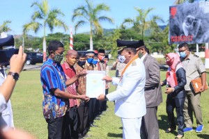 foto 00000 foto 00000