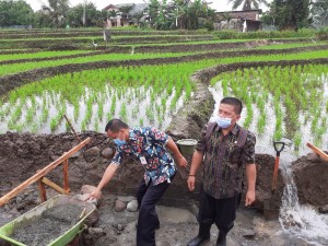 IMG-20200903-WA0015 IMG-20200903-WA0015