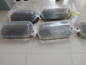 IMG-20200928-WA0010
