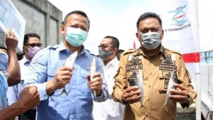 image_search_1600936827729 image_search_1600936827729