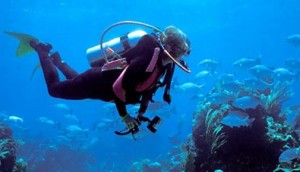 image_search_1601608170924