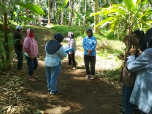 IMG-20201115-WA0037