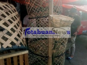 IMG20210310162536-696×519